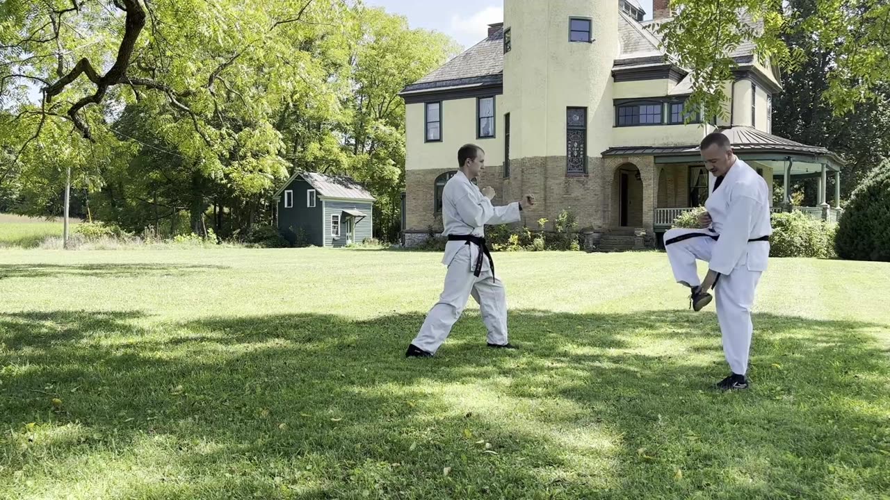 Appalachian Karate Online: Mae Geri (front kick): Instep