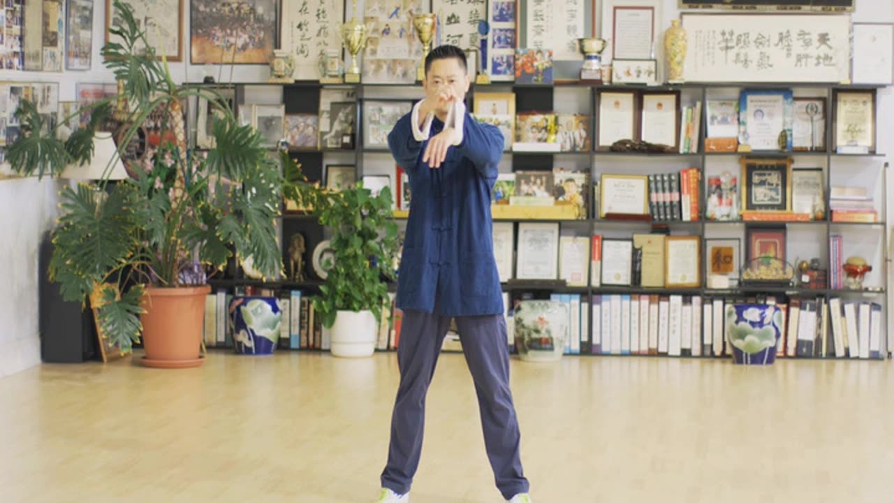 Chen Tai Chi Cannon Fist