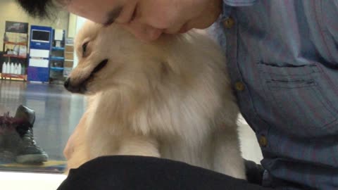 This Young Dog Feigns Affection to Get More Kisses