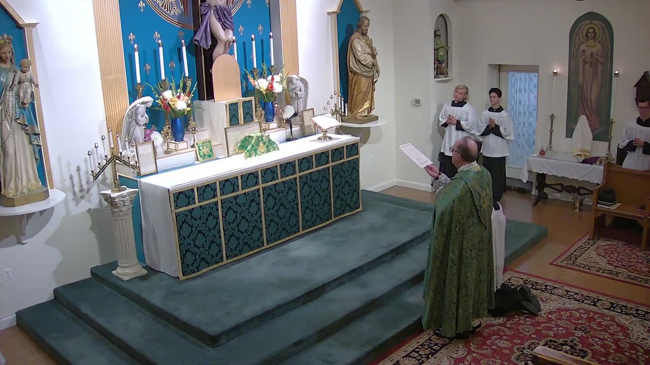 Traditional Latin Mass: 15th Sunday after Pentecost