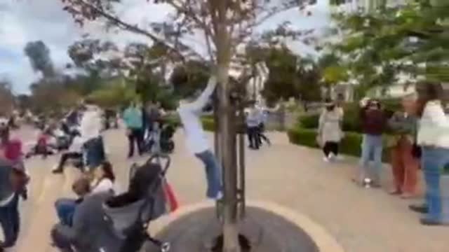 San Diego is having multiple school walkouts. Teachers