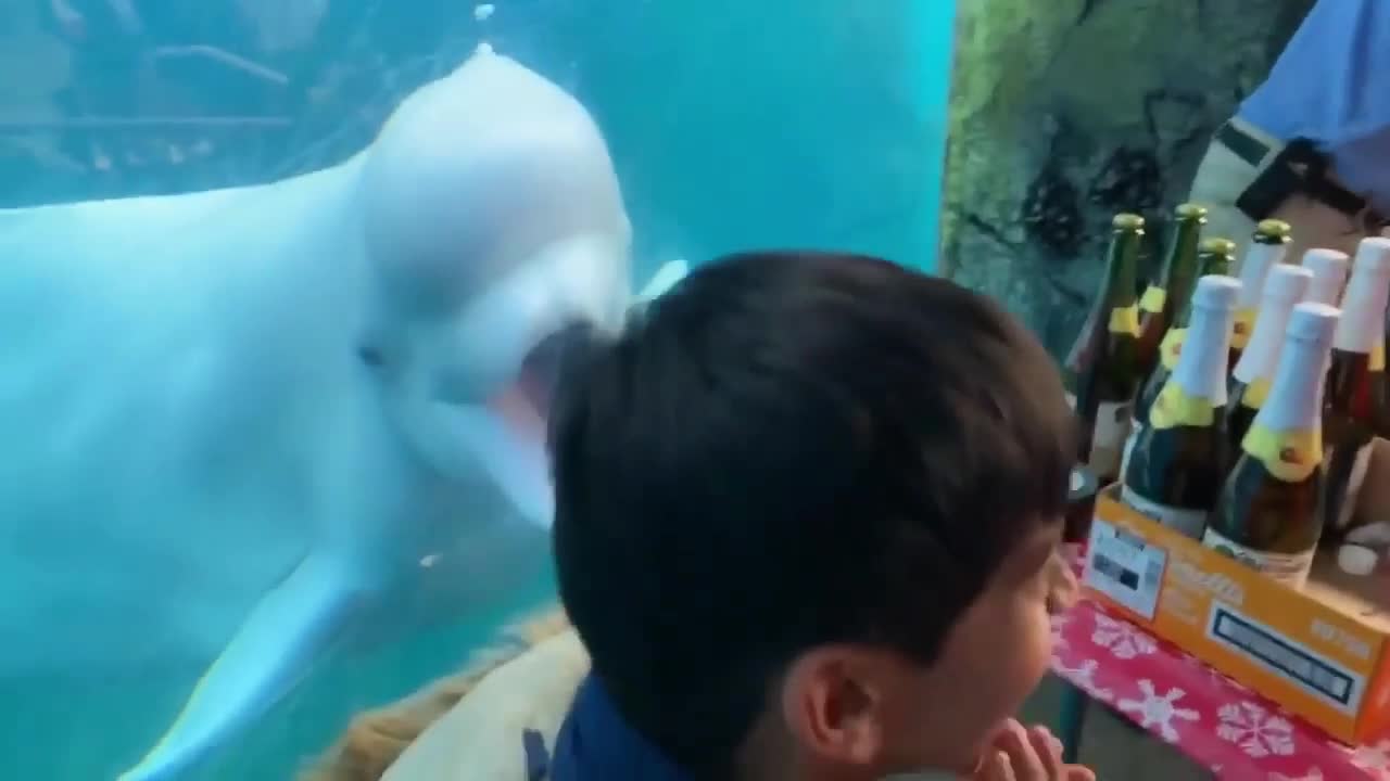 Funny Baby Videos from each other. Second.