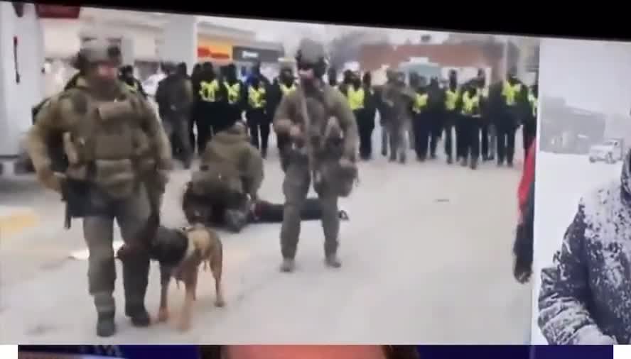 Ambassador Bridge: Police tackle unarmed peaceful protesters (Feb 13, 2022)