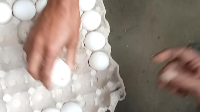 Egg broke competition