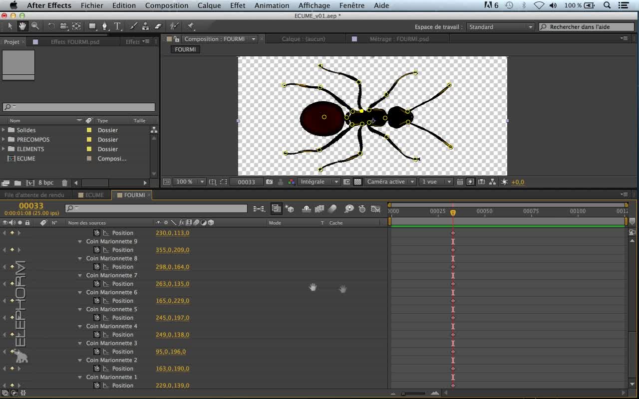 Create a new layer to host ants