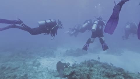 Conch Republic checkout dives