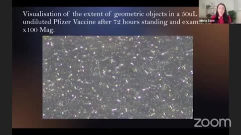 Evidence of Nanatechology