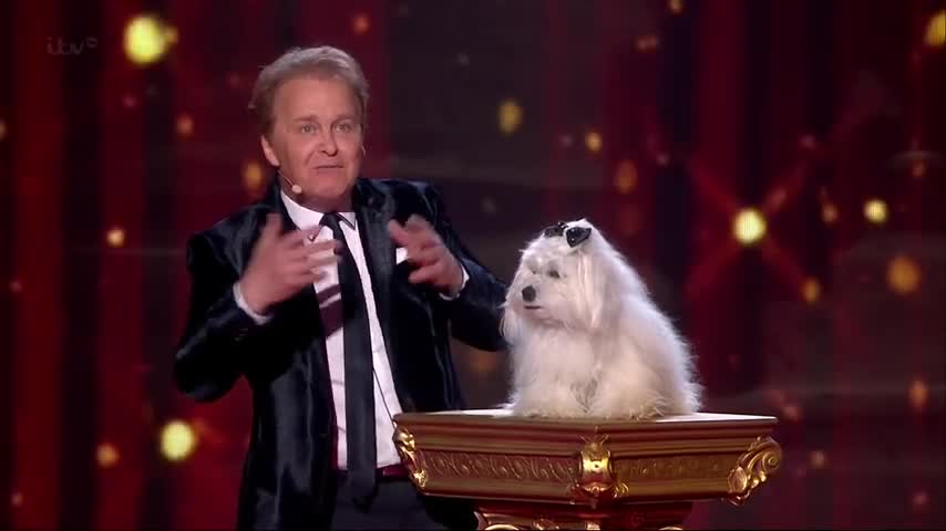 Talking dog