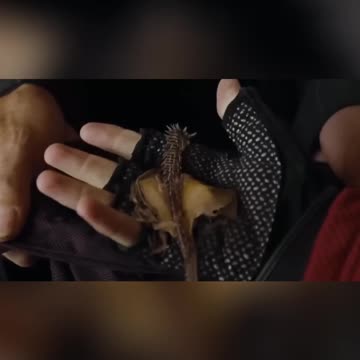 Unboxing the Hungarian Horntail Dragon, Harry's Dragon! #harrypotter #wizardingworld