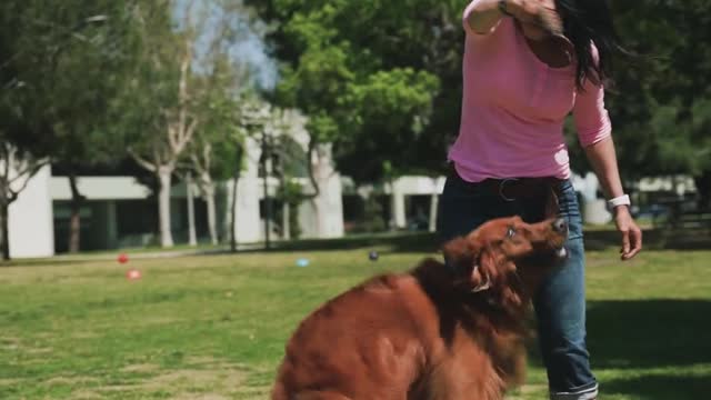 Girl is playing with dog and how to eat hunter's food?