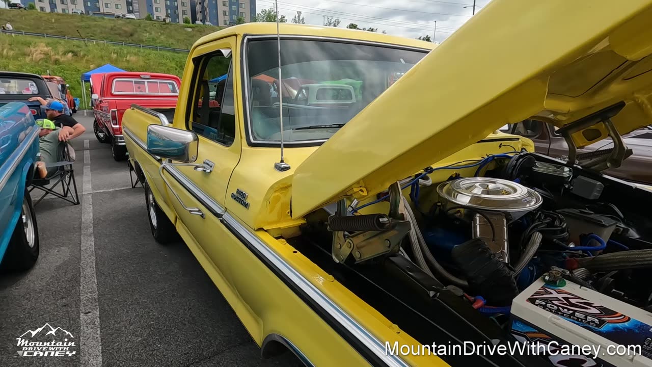 1978 Ford F100 Pickup Truck