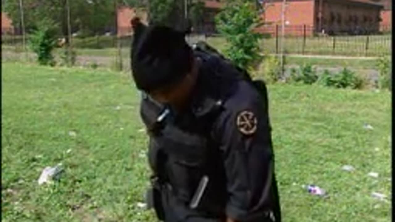 Detroit Swat