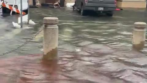 Dock Street at City Dock in Annapolis, Maryland this morning. 8/9/2024