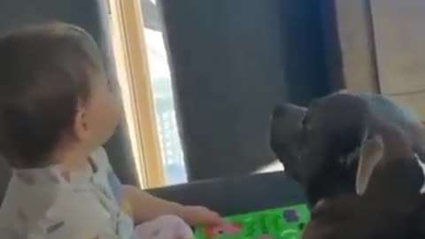 Dog and Cute Baby Hanging Out