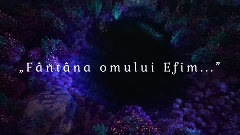 Lilian Curevici - Fântâna Omului Efim...