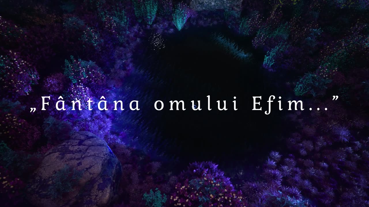 Lilian Curevici - Fântâna Omului Efim...