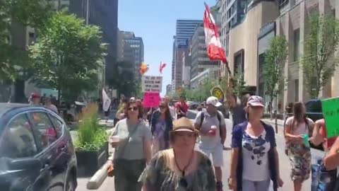 Canadian Protesters Hold the Line and March in Solidarity With the Dutch