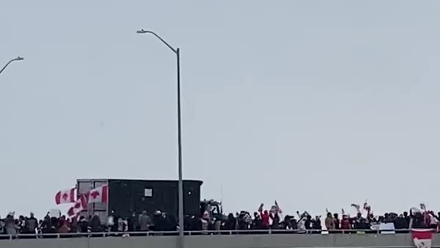 Freedom Convoy 2022 in Vaughan