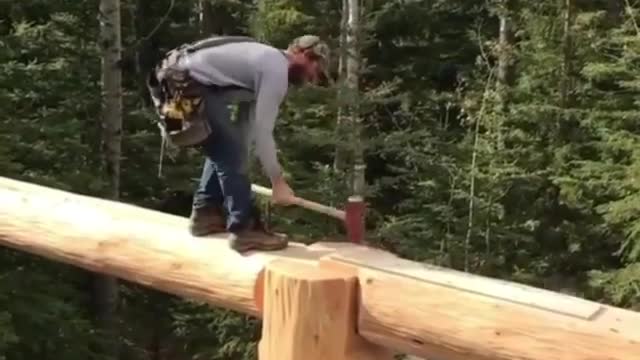 Man talent in tree