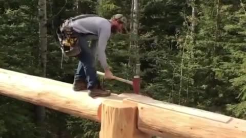 Man talent in tree