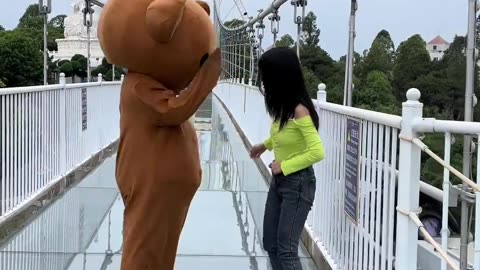 Brown bear being bullied by a girl on the glass bridge episode 143