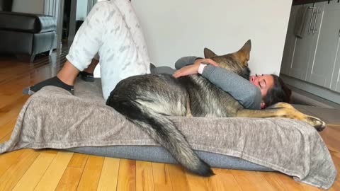 Funny human stealing dogs bed