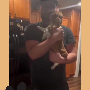 Heartwarming Story about Dog Ep.9_1 #shorts #dog #ShikyFAV