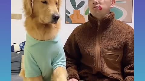 38🐕Smart Dog Video 2021