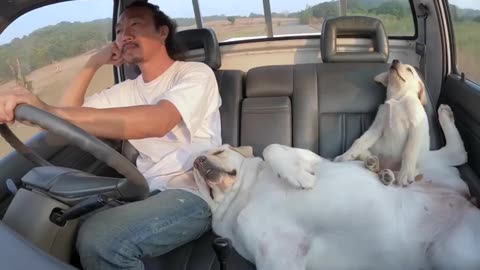 What else u needed for a trip