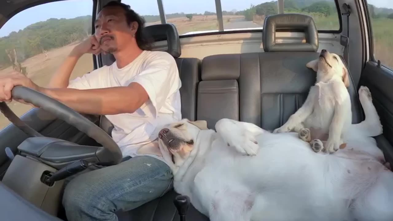 What else u needed for a trip