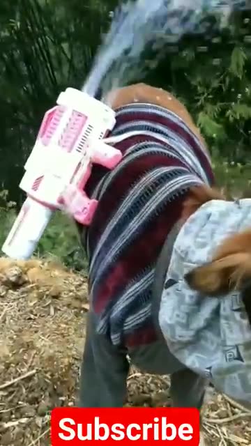 Funny Animals Videos