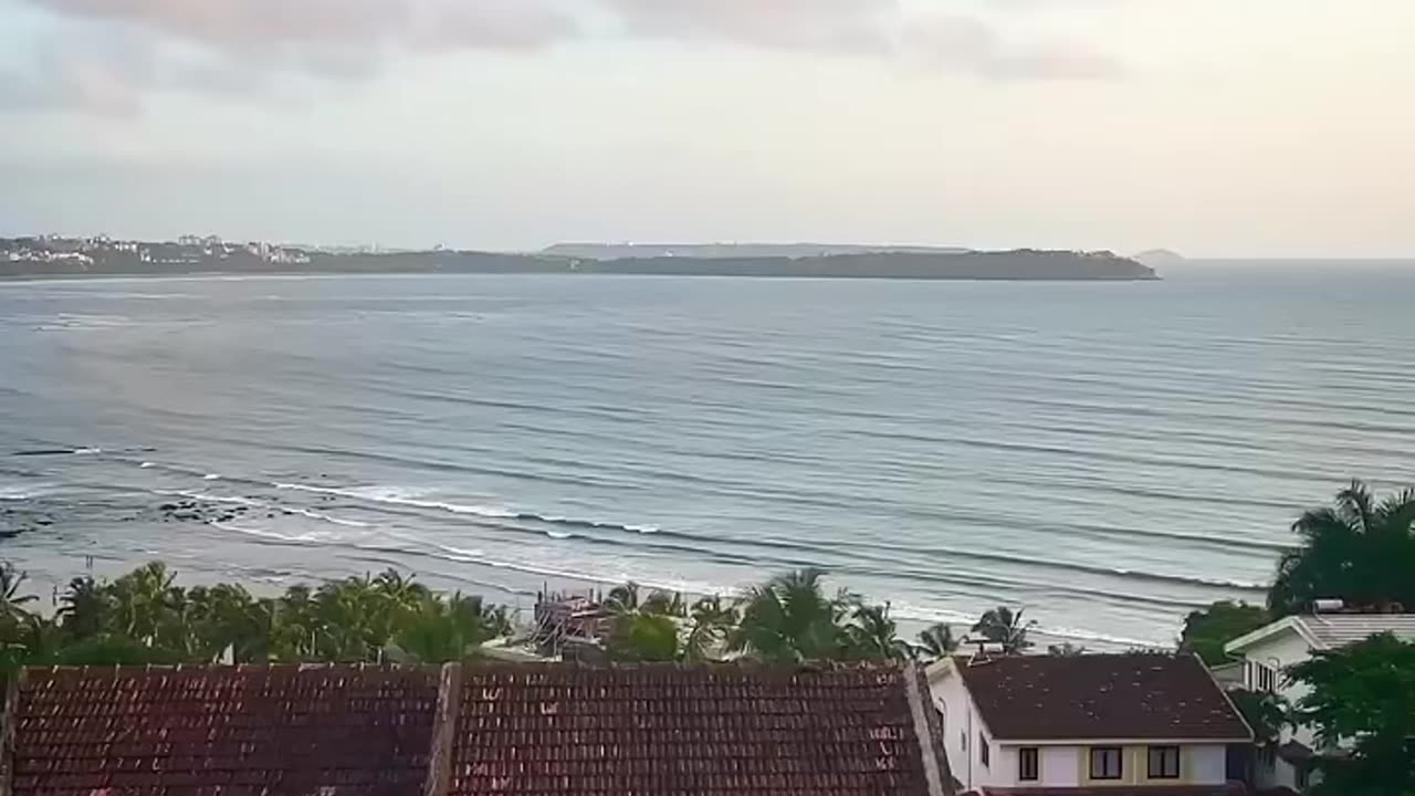Funny Video