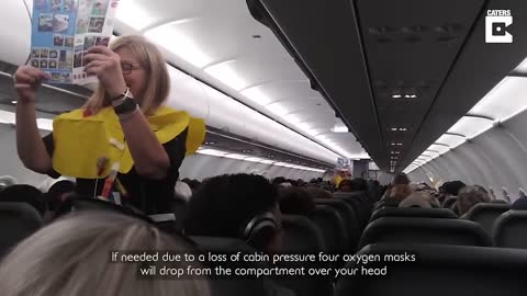 Rib Tickling Flight Attendant