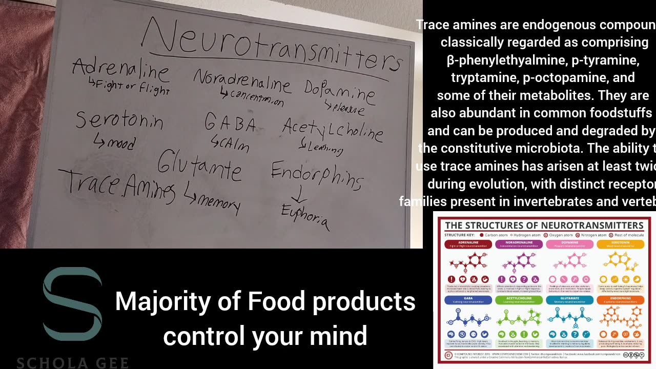 Majority of Products control our minds and Neurotransmitters.