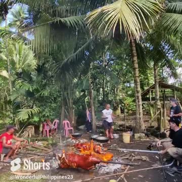 Lechon Cooking in the Philippines.