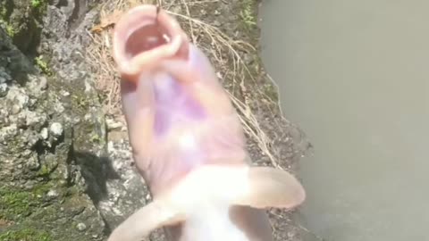 Healing by my family