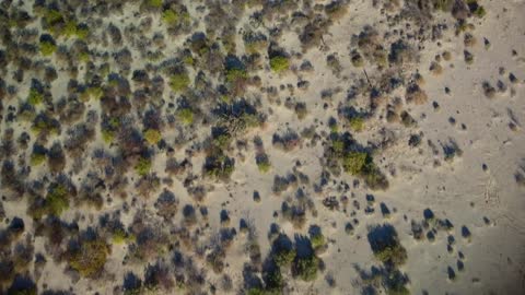 Aerial view of a sandy terrain