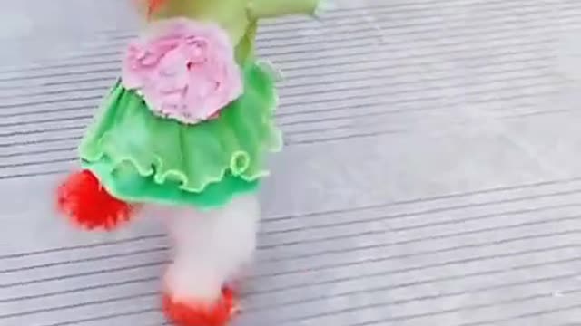 Cute baby dog and cat..._complilation_04
