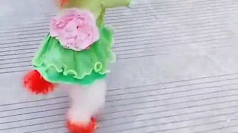 Cute baby dog and cat..._complilation_04