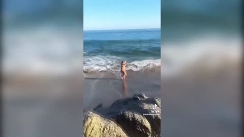 Today Tik Tok Taught Me
