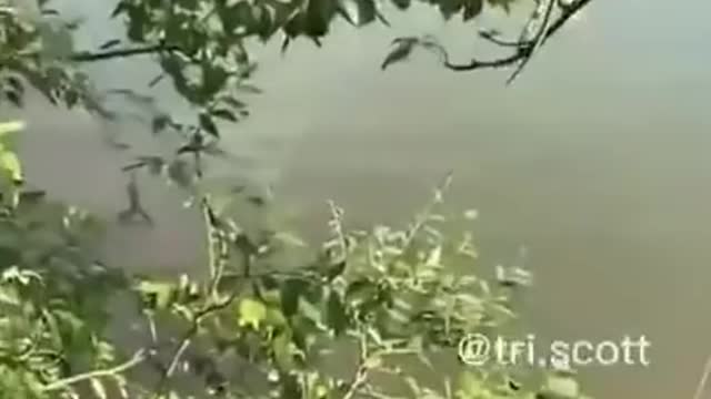 Naughty Badar Badrami।। very funny