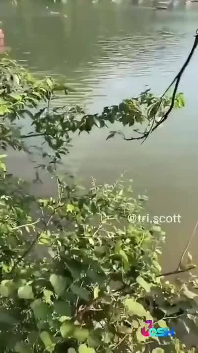 Naughty Badar Badrami।। very funny