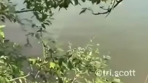 Naughty Badar Badrami।। very funny