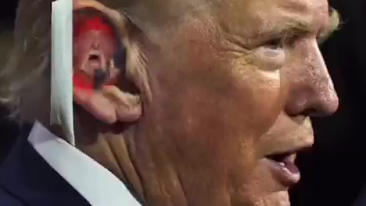 Trump Hulk Hogan Ear