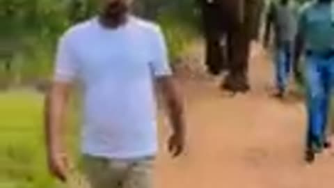 South Africa In Jungle With Elephant Dubai King d l| Jeetpuria Janab