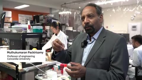 Could electric algae be a source of renewable energy. CBC News