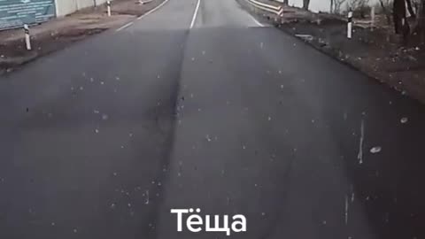 Зять и тёща