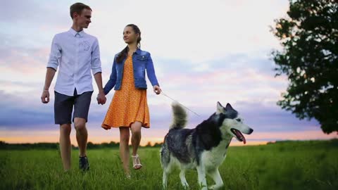 Loving couple playing with dog at the beach. Concept about love, animal and lifestyle
