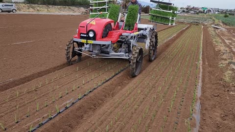 Amazing Growing and cultivation with Modern Machinery system