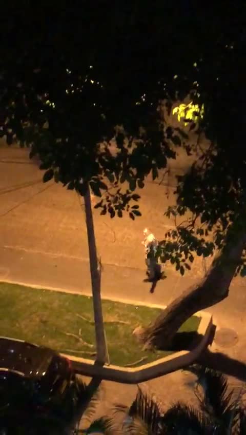 Cacerolazo en apoyo a Dau